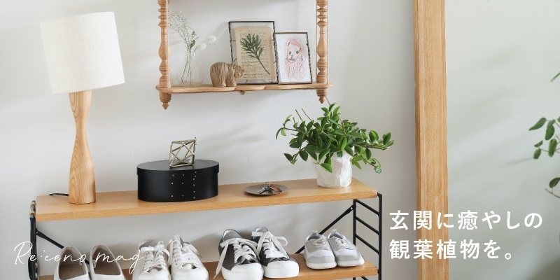 脚下照顧 置物 立札 インテリア 玄関 玄関に癒やしの観葉植物を。おすすめ3品種をご紹介します。 ｜家具